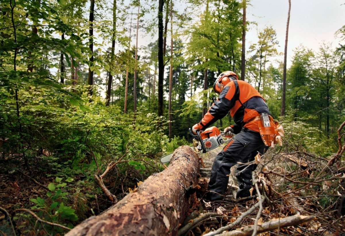 tronçonneuse thermique stihl ms 362 c m vw - Laty Machine tronçonneuse thermique stihl ms 362 c m vw