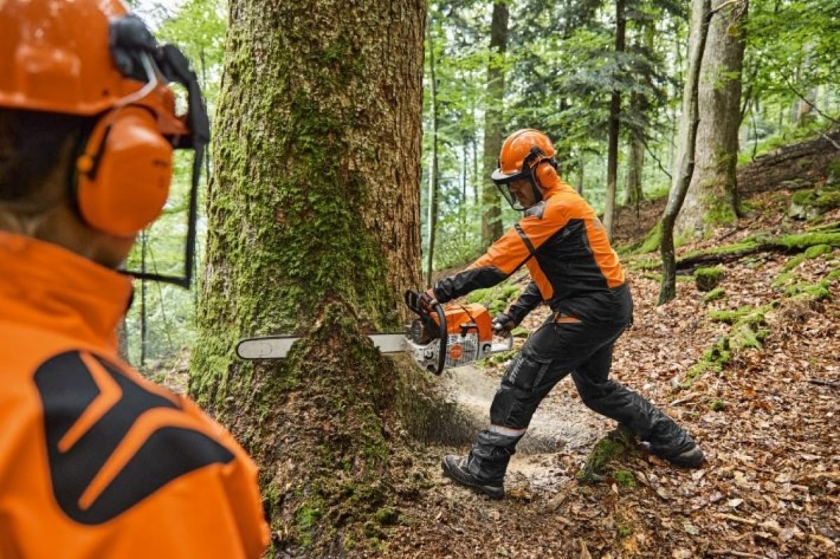 tronçonneuse thermique stihl ms 881 - Laty Machine tronçonneuse thermique stihl ms 881