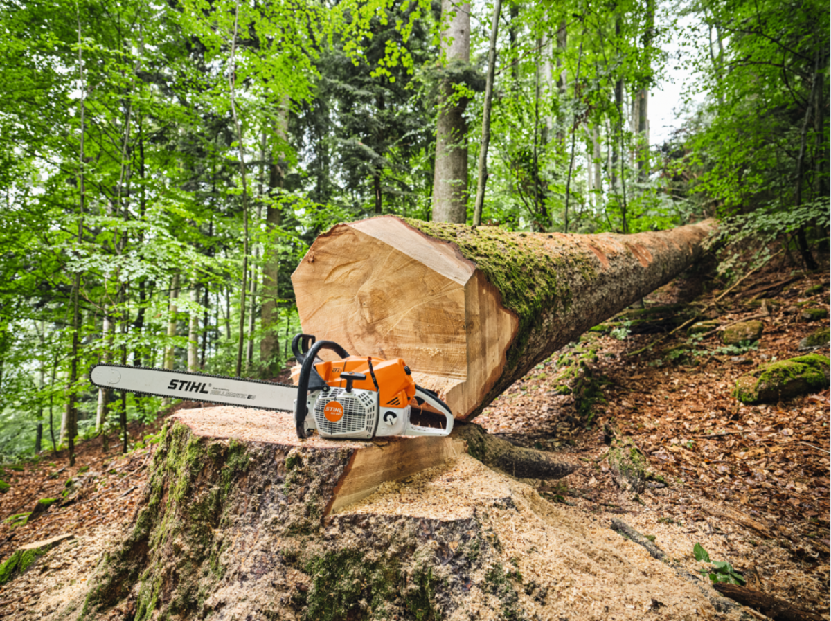 tronçonneuse thermique stihl ms 881 - Laty Machine tronçonneuse thermique stihl ms 881